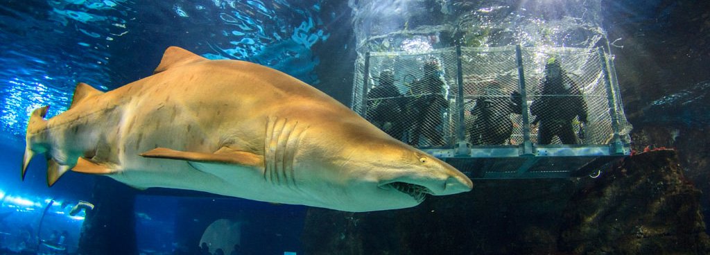 L'Aquarium Barcelona